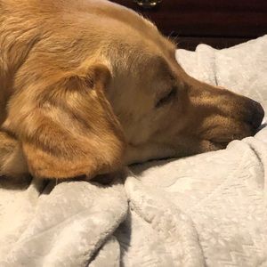 Meet your Posher, Stan